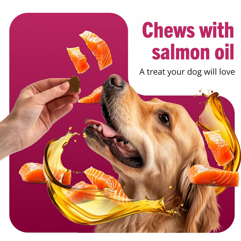 Vetwell Probiotics for Dogs - 120 Chews, Digestive Care with Dog Probiotics Enterococcus Faecium, Colostrum from Bovine, Prebiotic Chicory Inulin, Liver Flavour Dog Probiotic Supplements