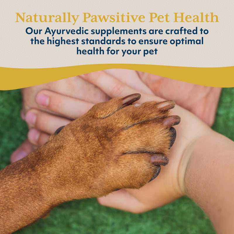 Ayush Pet Mobility, Curcumin Supplement for Healthy Joints, Pure and Powerful Joint, Digestion, and Brain Support, Large or Small Pets, 90 Capsules - PawsPlanet Australia