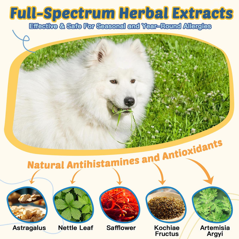 ZEBORA Pumpkin Powder for Dogs & Dog Allergy Chews
