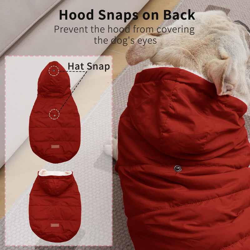 Fleece Lining Extra Warm Dog Hoodie in Winter for Small Dogs Jacket Puppy Coats with Hooded,Red M Medium (Pack of 1) Red - BeesActive Australia