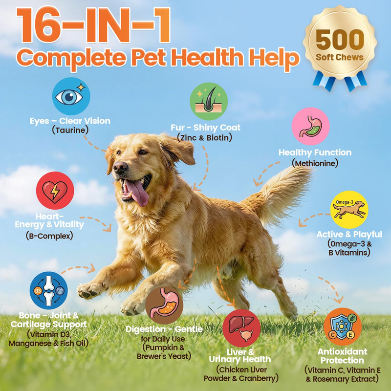 2-in-1 Dog Allergy Relief & Multivitamin Chews – 500 Ct Anti-Itch Chews + 16-in-1 Dog Vitamins (500 Ct), Skin, Coat, Gut, Immune & Energy Support with Omega-3 & Probiotics