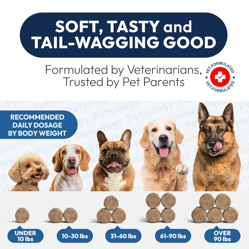 Probiotics for Dogs - 170 Dog Probiotics Chews - Digestive Enzymes & Prebiotics - Support Gut Health, Diarrhea, Gas & Constipation Relief - Itchy Skin, Allergies, Yeast Balance - Advanced Supplement 170 Chews Probiotic