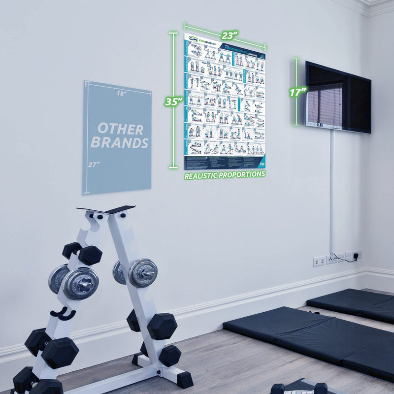 EverStretch Resistance Band Poster for Home Gym - with Video Instructions - Large 23" x 35" | Laminated Workout Chart | Resistance Band Workout Posters for Home Gym | Total Body Exercise Posters