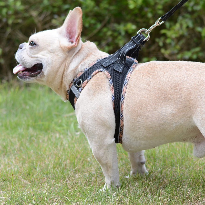DORAMIO Dog Harness Small Dogs with Leash, Step-in Harness Reflective Breathable Chest Harness Anti Pull Safety Harness Cat Harness for Small Dogs, Cats (Black Yellow, XS) Black Yellow - BeesActive Australia