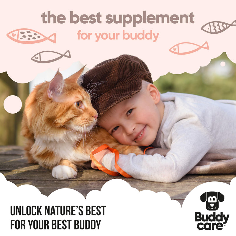 Buddycare Scottish Salmon Oil for Dogs and Cats (500ml x2) 100% Natural & Sustainable Supplement | Rich in Omega 3, 6 & 9 for Boosting the Health & Vitality of your Pet’s Skin, Coat & Immune System 500ml x2