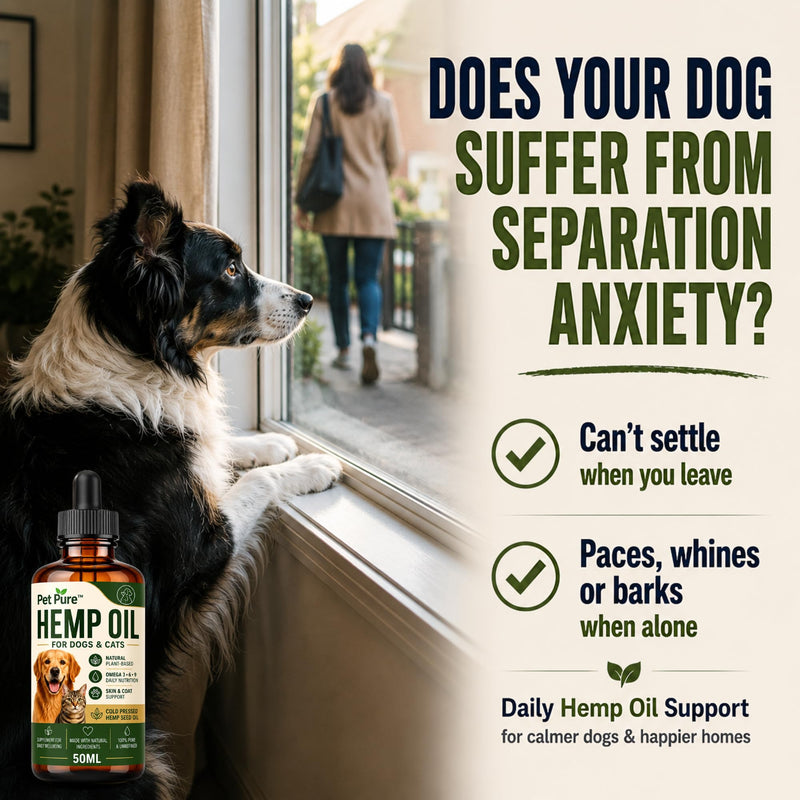 Hemp Oil for Dogs & Cats – Pet Pure™ 50ml – Hemp Oil for Dogs UK – Helps Support Calm Behaviour, Skin, Coat & Joint Health – Plant-Based Omega 3, 6 & 9 Supplement