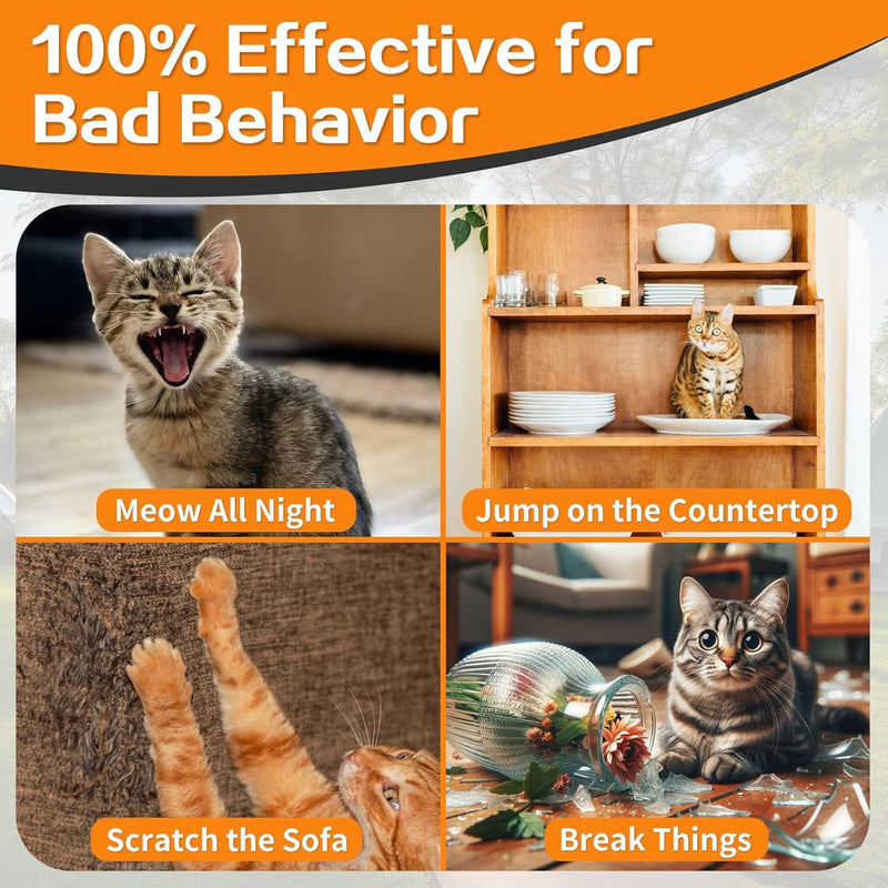 Tiniest Cat Shock Collar, Lightest Cat Training Collar with Remote for Small Cats 5-15lbs & Medium Large Cats/Puppies, Waterproof, Rechargeable, 1300ft Range (Orange) Orange - BeesActive Australia