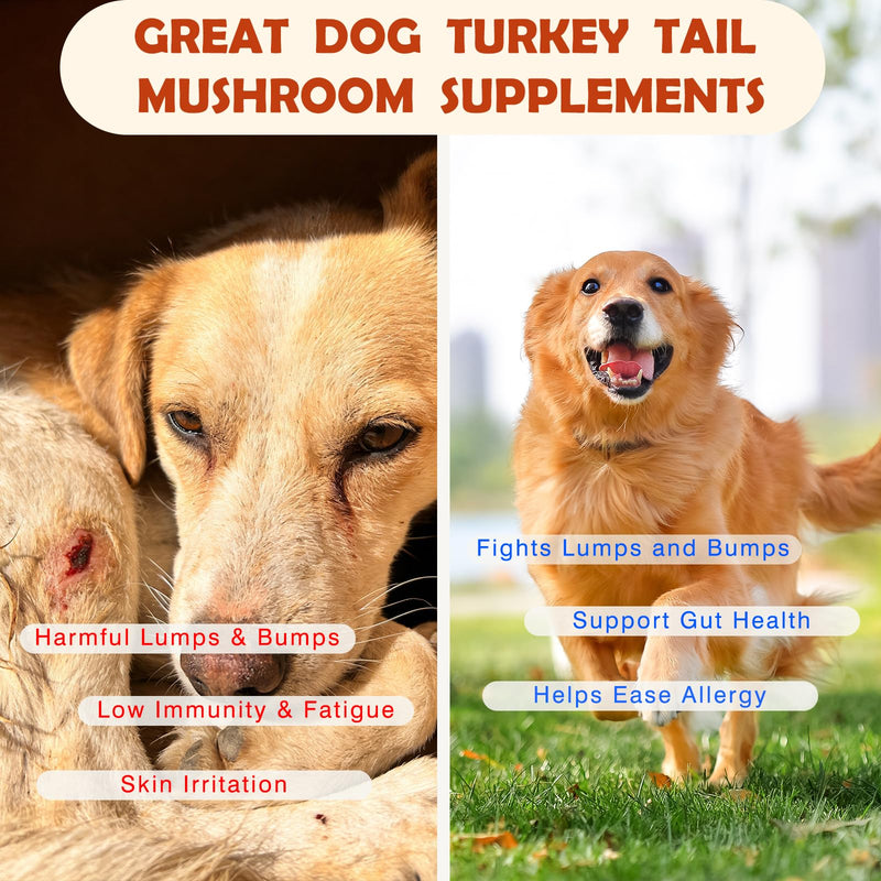 Pet Turkey Tail Mushroom for Dogs, Effective Buddy Guard for Dogs Lumps and Bumps, Dog Turkey Tail Mushroom Supplements with Soothing Skin Irritation-3.7 OZ / 70 Scoops Peanut Butter