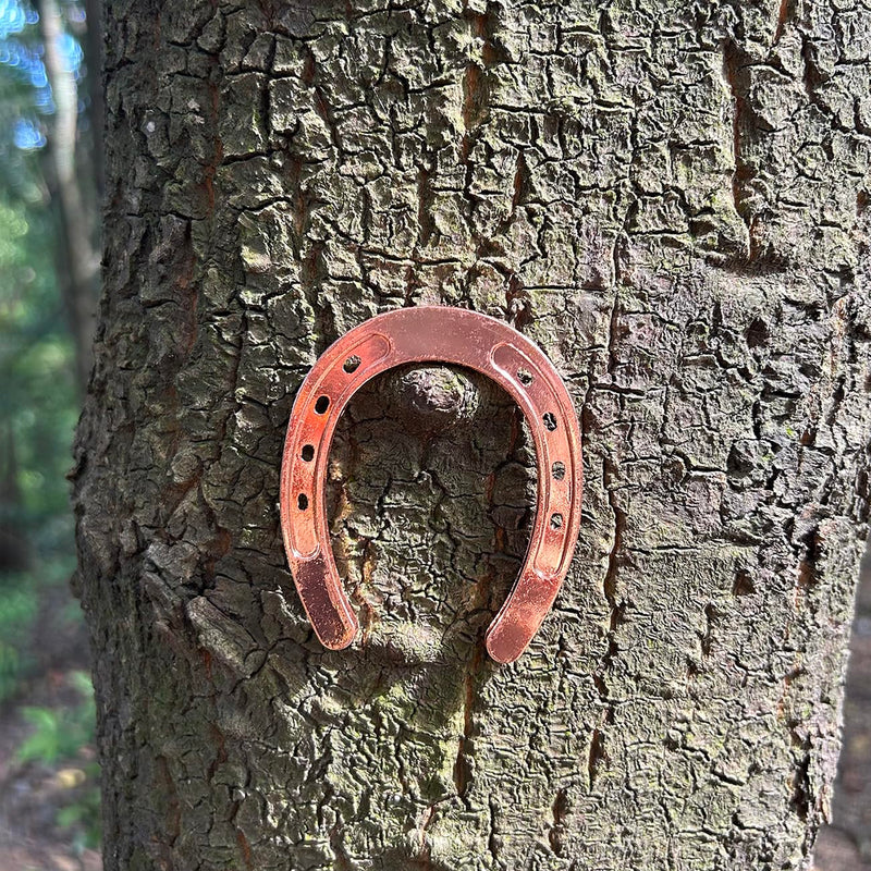 4 pcs Good Luck Horseshoes for Crafts, Mini Horseshoes Decor Wall Hanging for Rustic Wedding Birthday Party 4 - BeesActive Australia