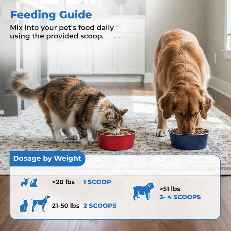 | S boulardii + FOS for Dogs and Cats | Probiotic and Prebiotic Powder | Support Gut Health, Diarrhea | 6 Billion CFU | 60g
