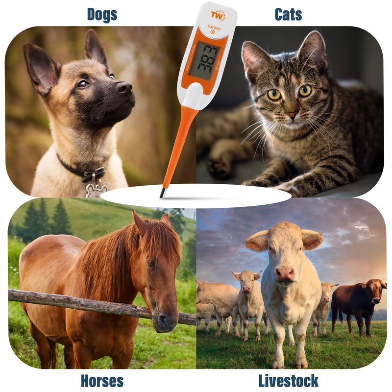 Premium Pet Thermometer for Dogs and Cats Animal Owners of Dog Puppy Cat Horse Equine Flexible Digital Rectal Temperature Dog Thermometer Probe with Vets Veterinary Hobdays Chart - BeesActive Australia