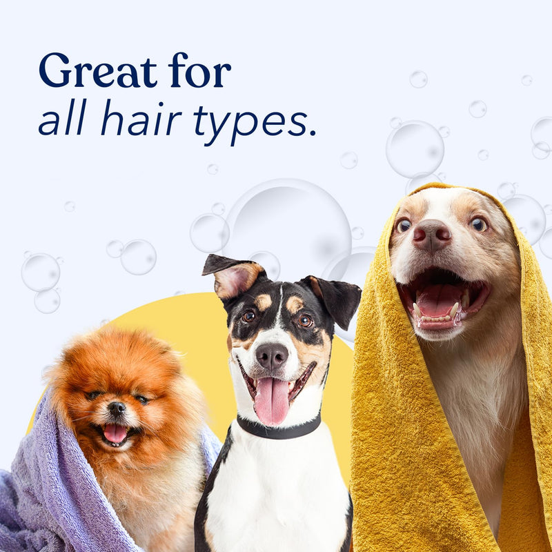Honest Paws Dog Conditioner Detangler - Moisturizing Premium Pet Conditioner for Itchy and Dry Skin - Hydrate Sensitive Skin - Shiny Coat Soft Hair Smooth Fur - Mandarin & Berry - 16 oz - BeesActive Australia