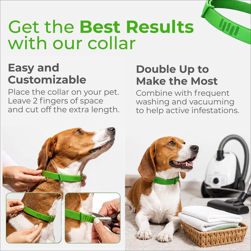 FurLife Flea and Tick Collar for Dogs – Waterproof Red Dog Collar, Pet Supplies for Tick and Flea Prevention for Dogs, Safe for All Breeds