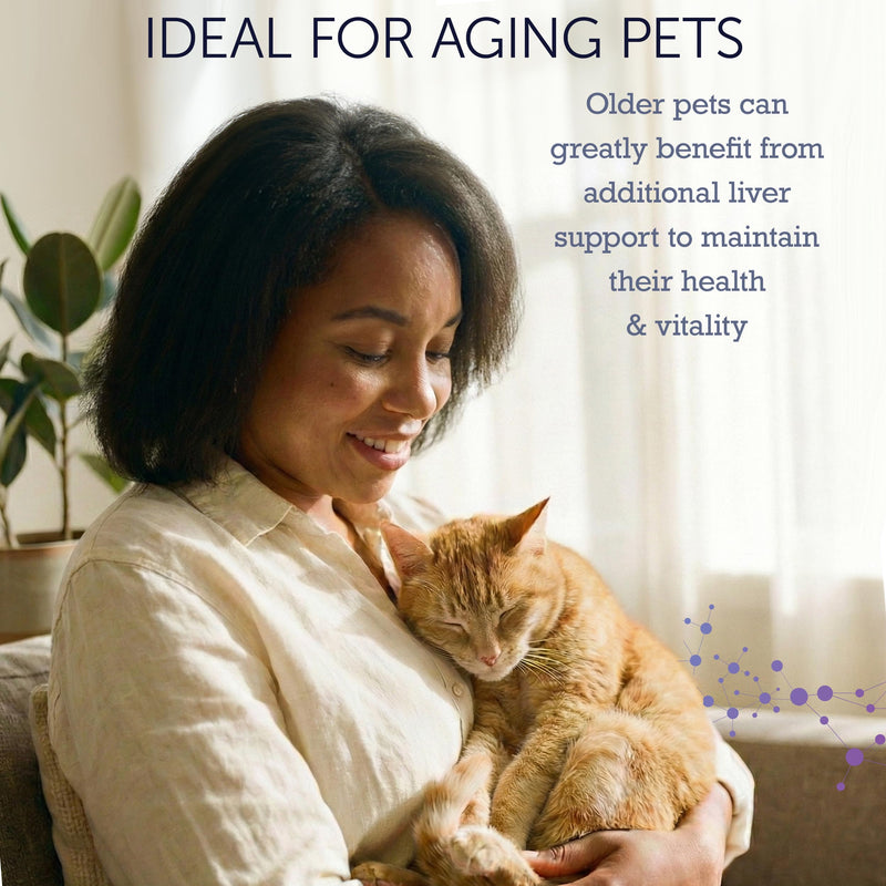 NuLife Hepato Support - Liver Support for Dogs and Cats with Silymarin - Contains Milk Thistle for Dogs & Cats and Vitamin B Complex (B1, B2, B6, B12) - Promotes Canine & Feline Hepatic Health - 90ct
