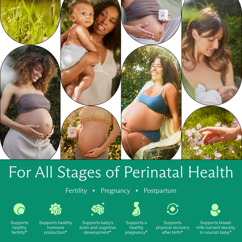 Needed. Multivitamin for Prenatal, Prenatal Multi Essentials Capsule | Pregnancy, Breastfeeding, Postpartum, Expertly-Formulated & Third-Party Tested, Citrus Scent Insert, 30-Day Supply Citrus Insert