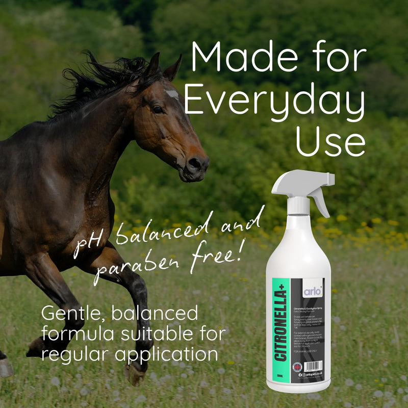 Citronella+ Fly Spray for Horses 500ml – Powerful Insect Protection | Long-Lasting Coat Spray for Horses & Ponies | Fast-Acting & Easy to Use | Summer Horse Care Essential