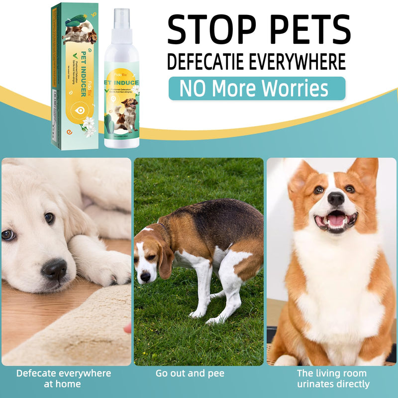 Dog Potty Training Spray,Potty Here Spray for Dogs for Indoors & Outdoor,Training Spray for Dogs to Pee in One Spot,Prevent Your Pet from Soiling The Carpet,120ML - BeesActive Australia