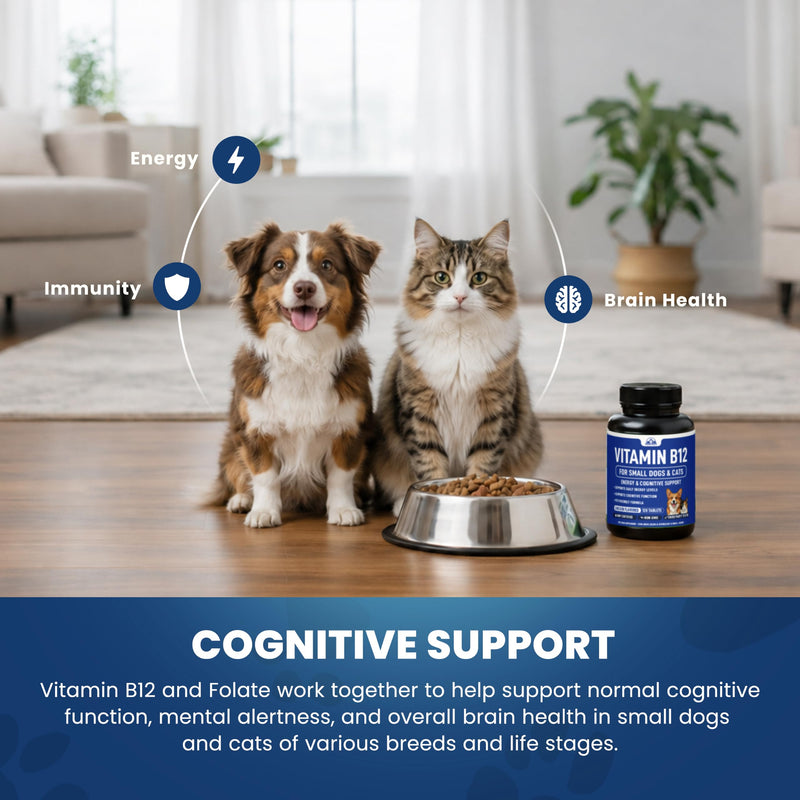 Vitamin B12 Supplement for Small Dogs & Cats with Cobalamin, Folate - Vitamin B12 Dogs and Cats Tablet Energy & Cognitive Support - 120 Chicken Flavored Chewable Tablets -Third Party Tested, Non GMO