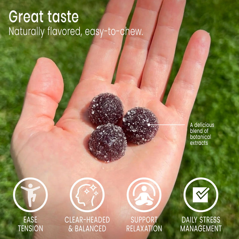 Sunsoil A World of Calm Organic Gummies, USDA Certified Organic, No Glucose Syrup, Vegan, Gluten-Free, Plant-Based