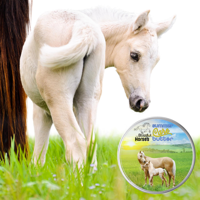 The Blissful Horses Summer Care Sun Butter, Gentle Horse Sunscreen, Easy-to-Apply Equine Sunblock Solution, Must-Have Horse Essentials for All Day Sun Protection, 4 oz. 4-Ounce - BeesActive Australia