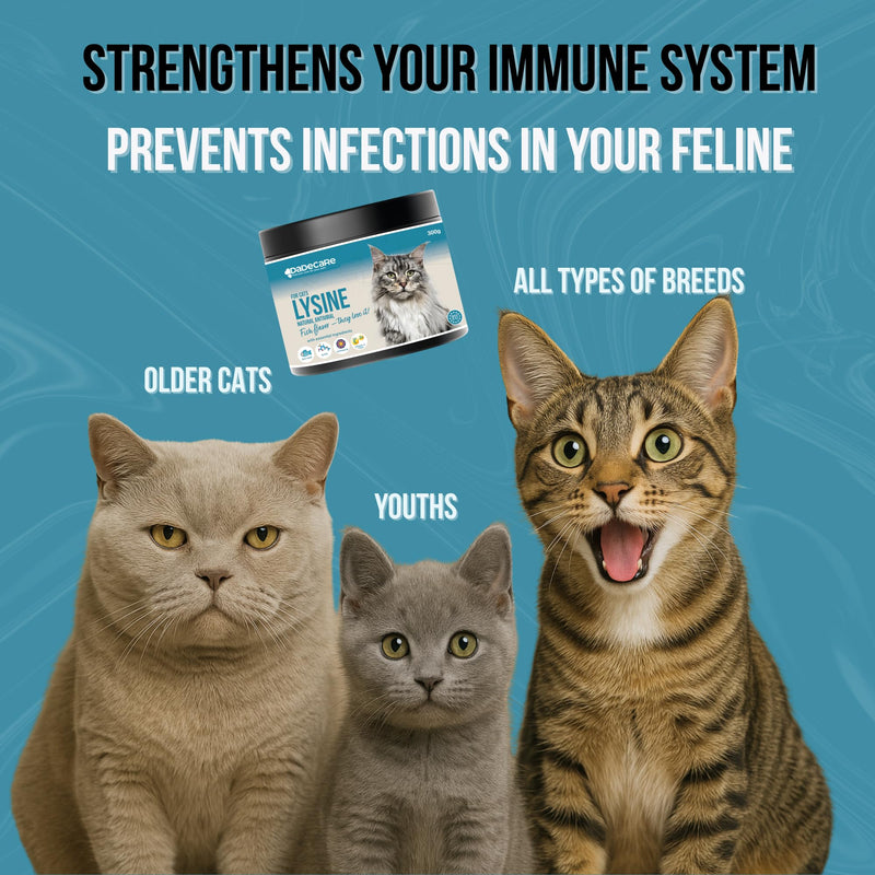 L-Lysine for Cats Powder 300g – Immune Support with Echinacea, Vitamin C & Zinc – Fish Flavour – Helps Respiratory Health & Cat Cold – Suitable for Kittens, Adult & Senior Cats