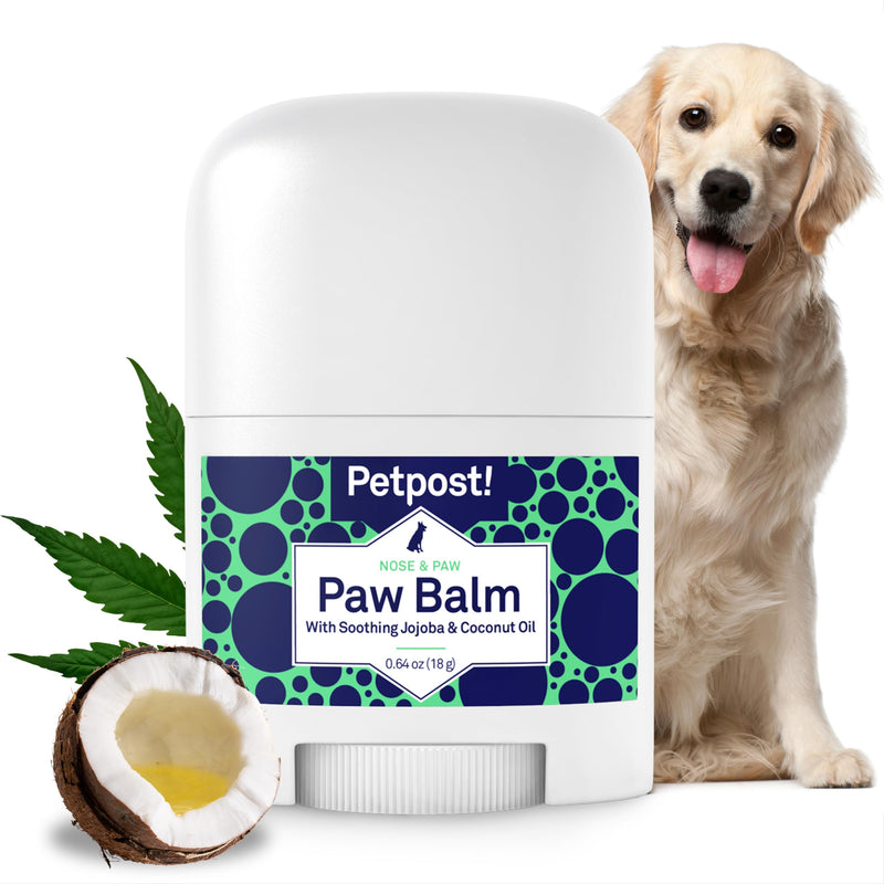 Petpost | Paw Balm for Dogs - Nourishing Cream Soothes Itchy, Dry Dog Paws with Moisturizing Ingredients - Organic Coconut Oil, Jojoba Oil, and Shea Butter 0.64 oz.