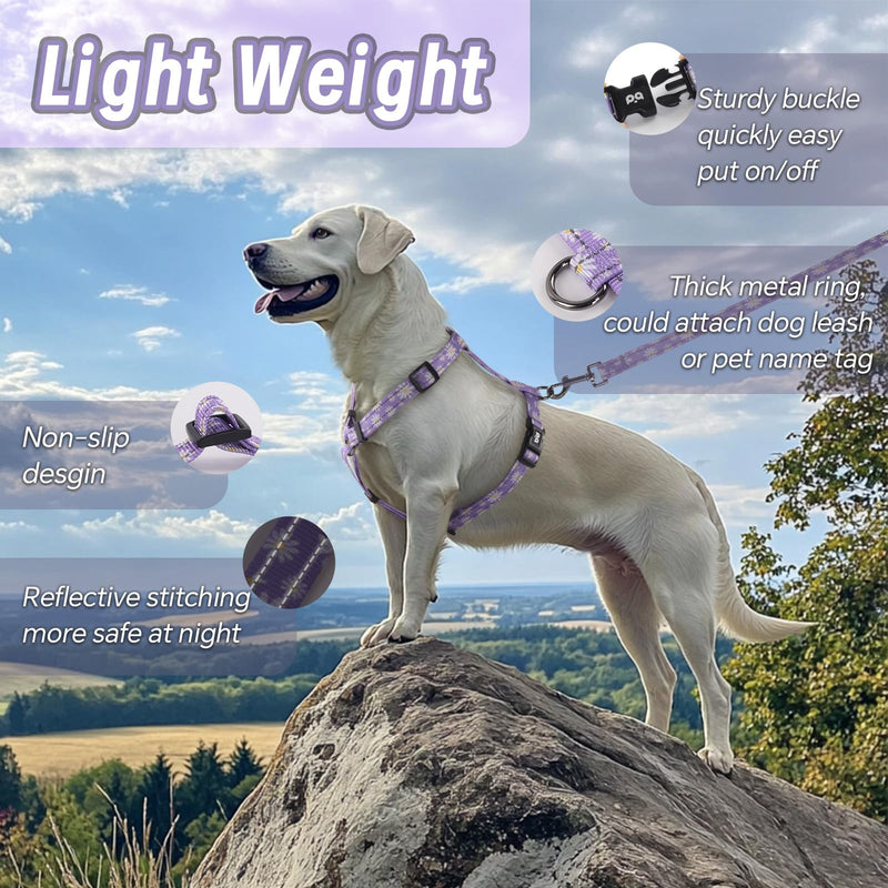 Dog Harness Leash Set, No Pull Adjustable Halter Cute Comfort Padded Handle for Medium Sized Large Small Dogs Walking Training Running with Reflective（Small,Purple） Purple - BeesActive Australia