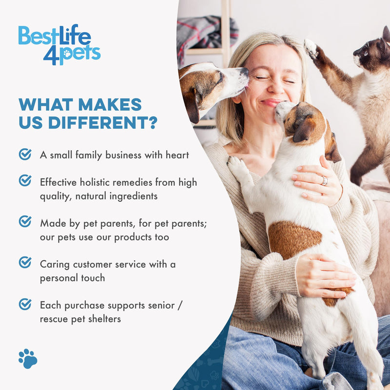 Hepatic Liver Support for Dogs, Dissolvable Homeopathic Digestive Canine Supplement for Liver Detox and Nutrient Absorption, 100% All Natural, Easy to Give, Free of Chemicals or Additives, 400 Pills - PawsPlanet Australia
