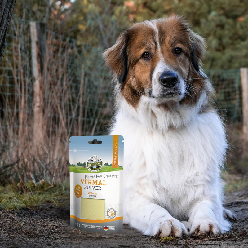 Vermal powder from Bellfor with coconut flour and pumpkin seeds - 80 g. Natural preventive agent against worm infestation in dogs in animals, supports intestinal health and immune system without the development of resistance. - BeesActive Australia