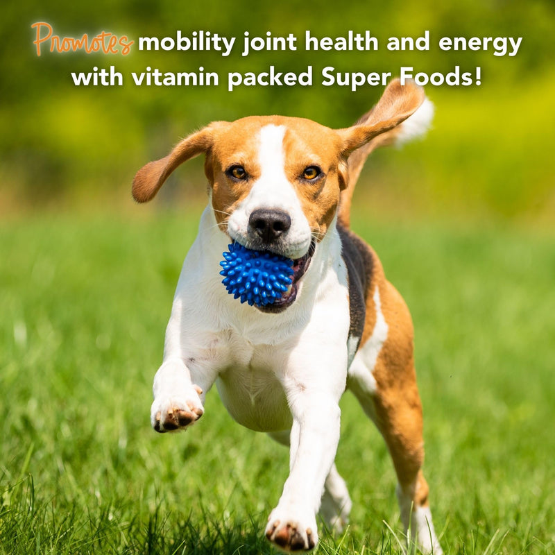 iHeartDogs Super Greens for Dogs with Broccoli Sprouts & Spirulina Powder - Seasonal Allergy & Immune Support Dog Greens Powder - Vitamins, Antioxidants & Minerals Supplement for Dogs - PawsPlanet Australia