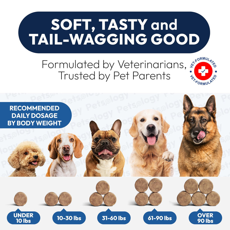 Probiotics for Dogs - 250 Dog Probiotics Chews - Digestive Enzymes & Prebiotics - Support Gut Health, Diarrhea, Gas & Constipation Relief - Itchy Skin, Allergies, Yeast Balance - Advanced Supplement 250 Chews Probiotic Chews