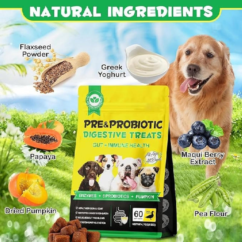 Dog Probiotics for Gut Health – 6 Billion CFU Multi-Strain Digestive Treats – Vet-Formulated Probiotics for Dogs, Dog Diarrhea Treatment, Immune & Skin Support – 60 Duck-Flavoured Chews