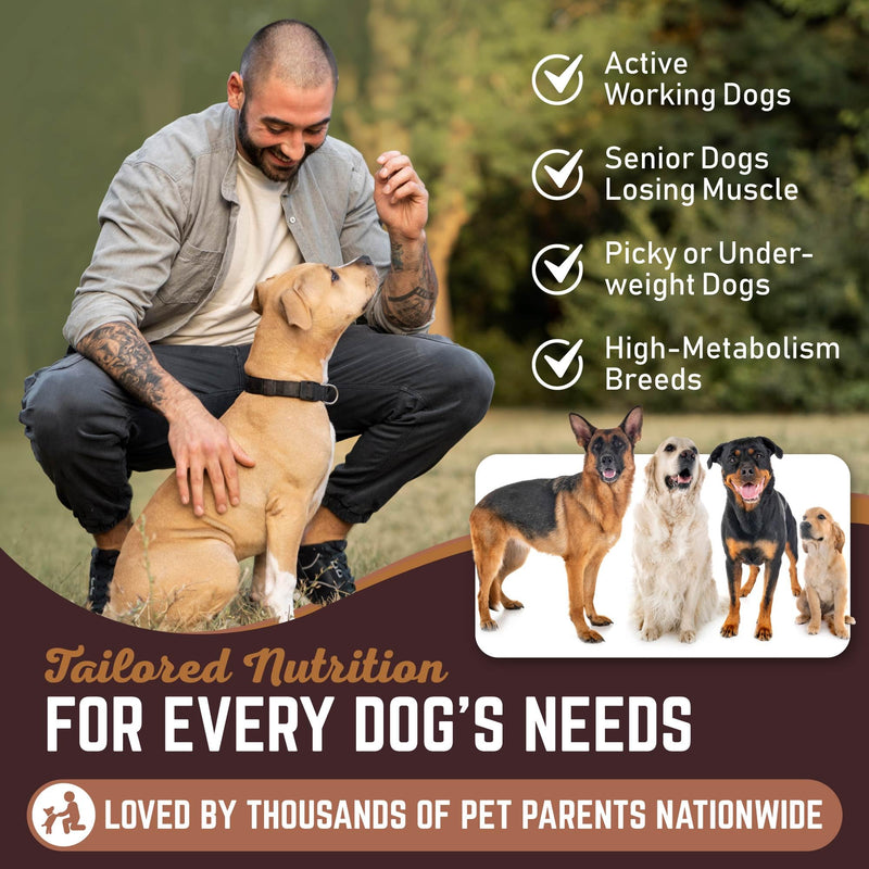 All American Canine Dog Weight Gainer Powder and Chews - High Calorie Food Supplement, Premium Quality Weight Gainer, Mass, Recovery, Appetite Stimulant