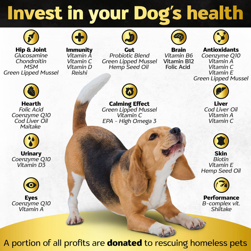 Hip and Joint Supplement and 23-in-1 Multivitamin Chews Bundle for Small, Medium and Large Dogs - 180 Count