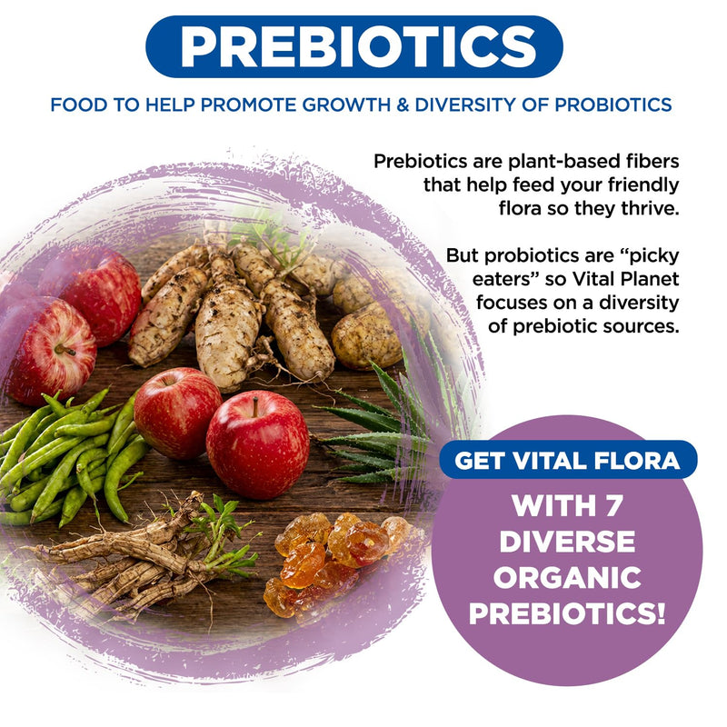 Vital Planet - Vital Flora Women’s Daily Probiotic 60 Billion CFU, 60 Diverse Strains, 7 Organic Prebiotics, Vaginal and Immune Support, Bloating, Digestive Health Probiotics for Women 30 Capsules