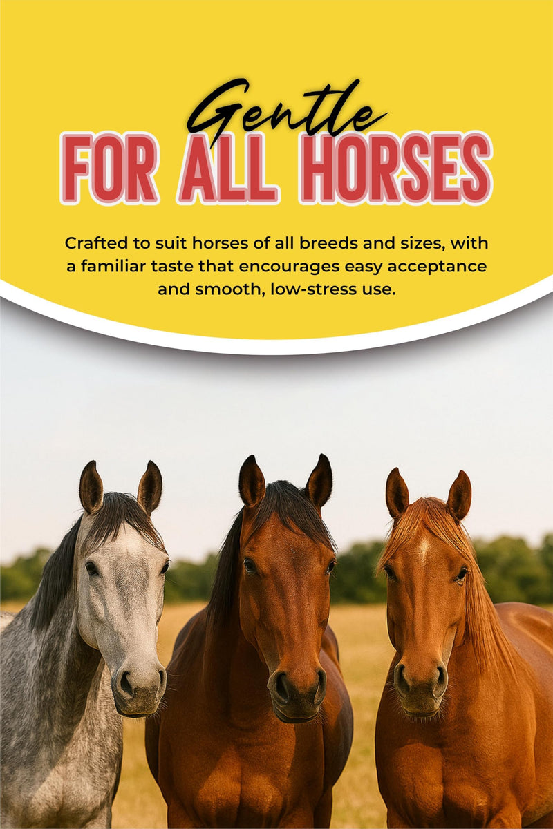 Horse Paste Gel 1.87% – Apple Flavored Oral Syringes – 6.08g Each (2-Pack) – Adjustable Weight Markings – for Equine Use 2