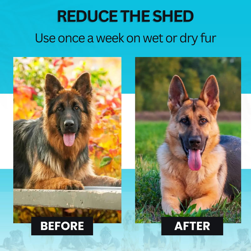 Candure Pet Friendly Dog Brush for Shedding & Effective Hair Removal Double-Sided Dematting Comb for Dogs & Cats Hair Brush for Shedding - Undercoat Rake for Dogs with Comb (Large, Blue) Large - BeesActive Australia