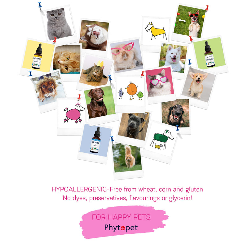 Phytopet Tum Ease | 30ml | 100% Natural Herbal Remedy | Aids Windy Digestion, Ideal When Changing Diet | for Dogs, Cats, Birds, Horses, Pets |