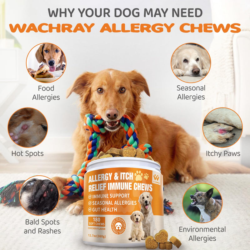 Dogs Allergy & Itch Relief Chews, Dog Probiotics for Itchy Skin and Itchy Ear, Dog Allergy Supplement for Paw Licking - 180 Treats Chicken