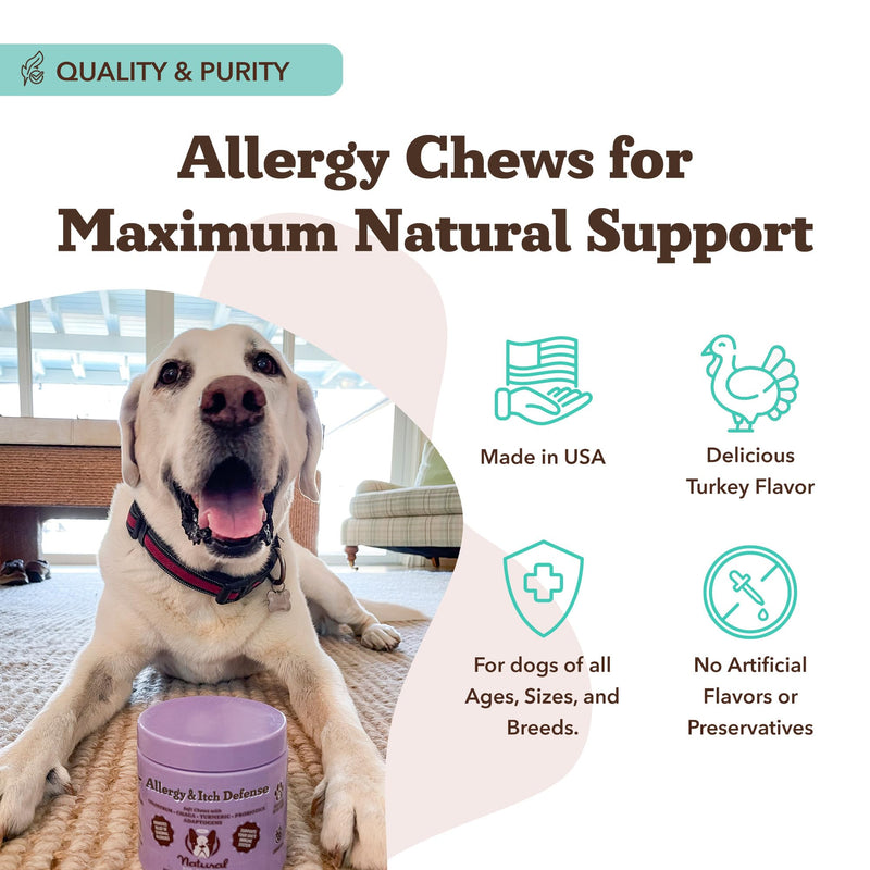 Natural Dog Company Allergy & Itch Defense Chews – Supports Seasonal Allergy, Itch, Skin, Coat & Immune Health, Gut Health with Probiotics, Colostrum & Salmon Oil, Grain-Free Dog Supplement, 90 ct 90 Count