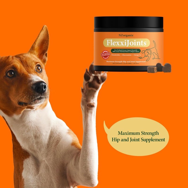 NZorganix FlexxiJoints Hip and Joint Supplement Chews for Dogs, Cats • 100% Grass-Fed Beef Bone Collagen New Zealand Green-Lipped Mussels • 100 Chews