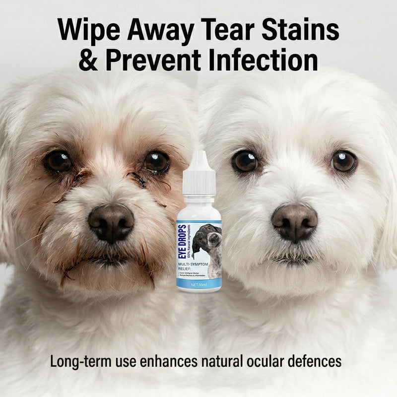Dog Eye Drops for Infection 2Pack, Gentle Eye Drops for Dogs & Cats, Non-Irritating & Antiseptic Eye Drops to Remover Tear Stain for Pets 10 ml (Pack of 2)