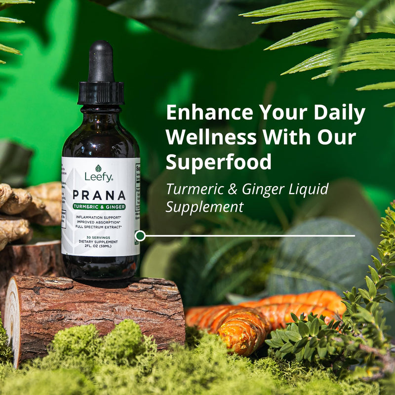 Leefy Organics PRANA - The Original Organic Liquid Turmeric Curcumin and Ginger Extract with Black Pepper | Supplement to Support Heart, Brain, Joint Health, Inflammatory Response, Immunity, Drops - BeesActive Australia