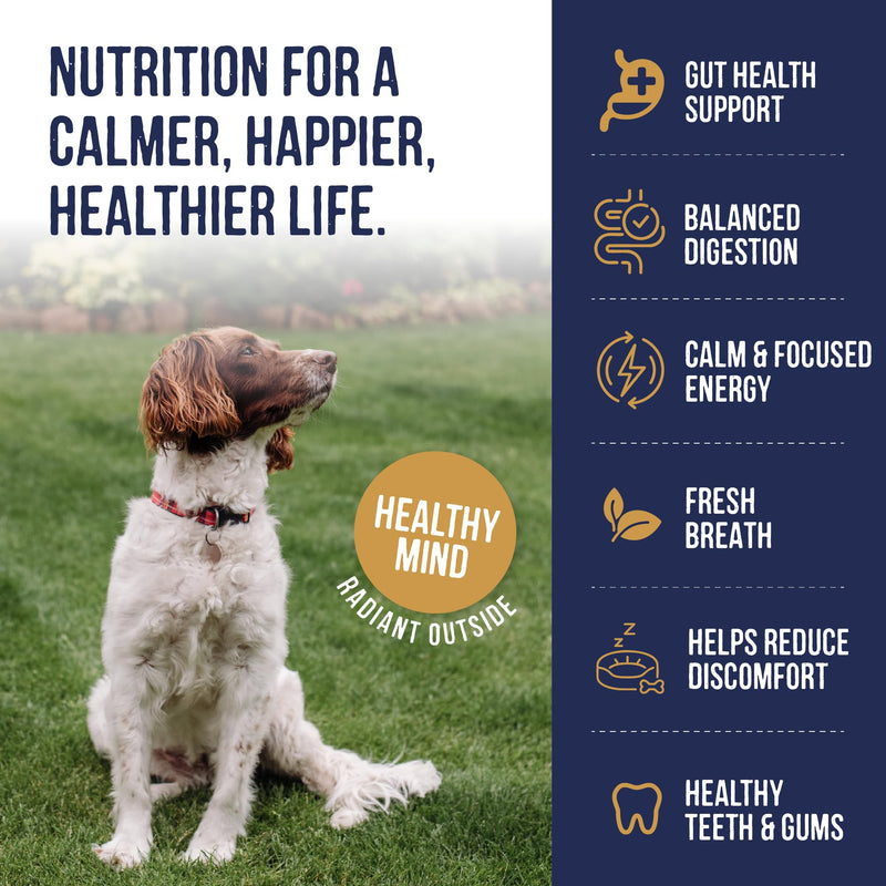 Harley & Marley Gut Duo Function Health Chews for Dogs - Dog Digestive Supplements with Fibre, Prebiotics & Biotics - Banana & Blueberry Recipe - Supports Teeth & Gums - 1pk (4/pk) Pack of 1