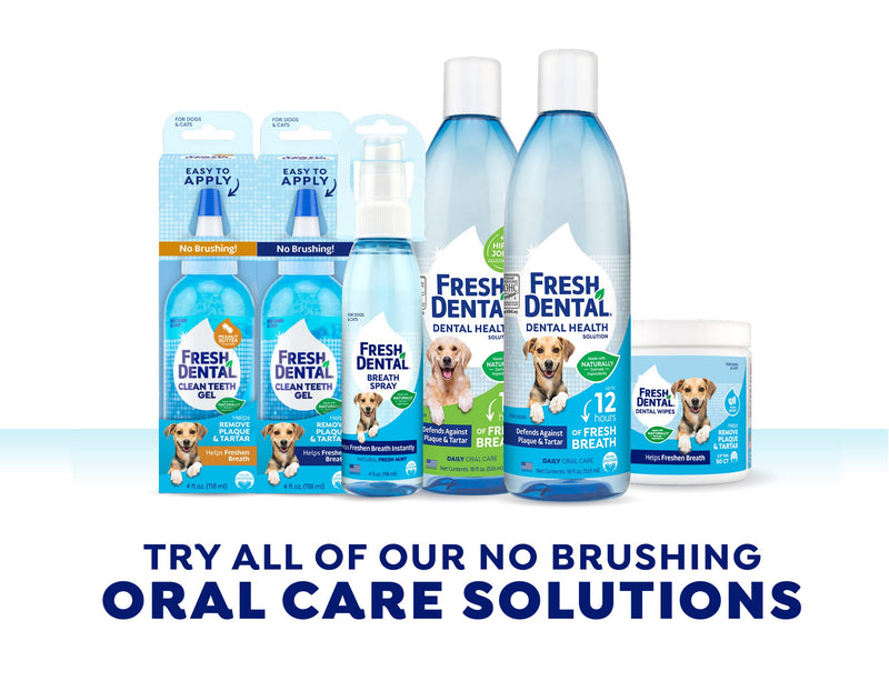 Fresh Dental Dental Health Solution for Dogs, 18oz Dental Formula 18 Fl Oz (Pack of 1) - PawsPlanet Australia