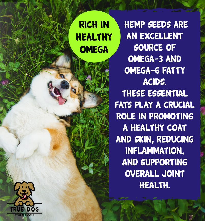 True Dog Hemp Oil for Dogs - Natural Dog & Cat Feed Supplement with omega 3, 6, 9 support hip, joint & dog calming- 100% Pure Cold Pressed (1ltr) 1ltr