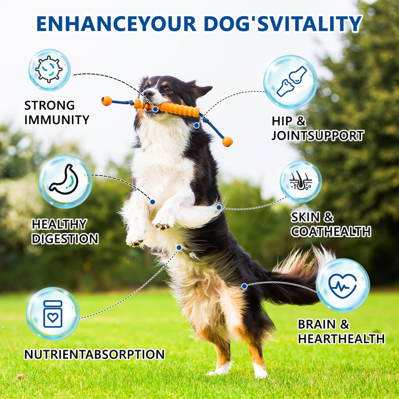Dog Multivitamin, 40-in-1 Dog Vitamins and Supplements Chewable Contain Probiotics Omega-3 Glucosamine, Multivitamin for Dogs Skin Coat Heart Joint Liver Brain Eyes Immune Support (110ct) 110 Count