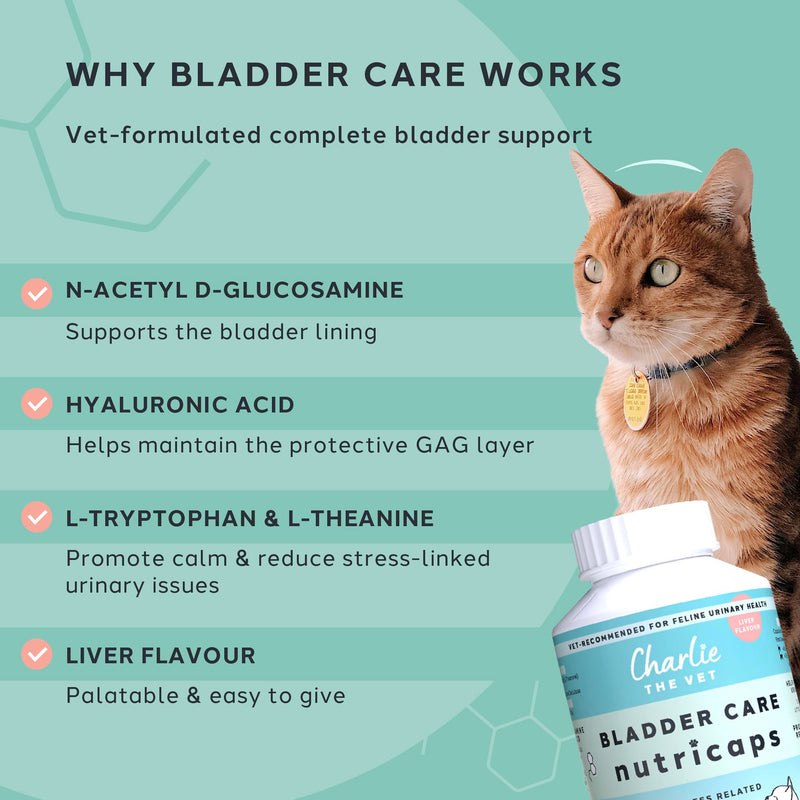 Bladder Care Urinary Support for Cats, with N-Acetyl D-Glucosamine, Hyaluronic Acid, L-Tryptophan and L-Theanine, for Bladder Comfort