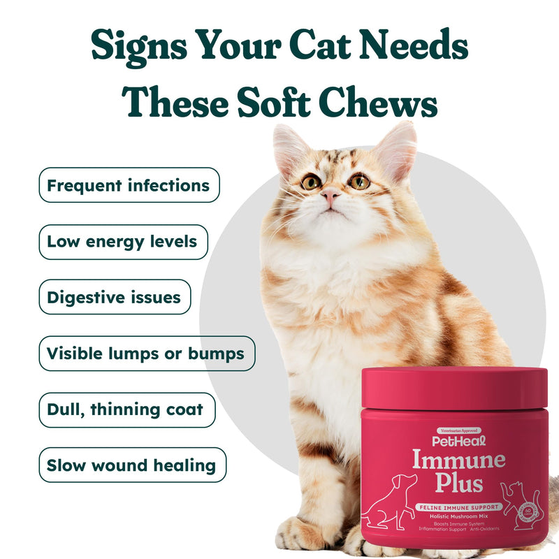 PetHeal Immune Plus Chews for Cats - Vet-Reviewed - Boosts Immunity & Liver Health with Turkey Tail, Reishi & Milk Thistle | Promotes Shiny Coat & Reduces Lumps | 60 Chicken-Flavored Soft Chews