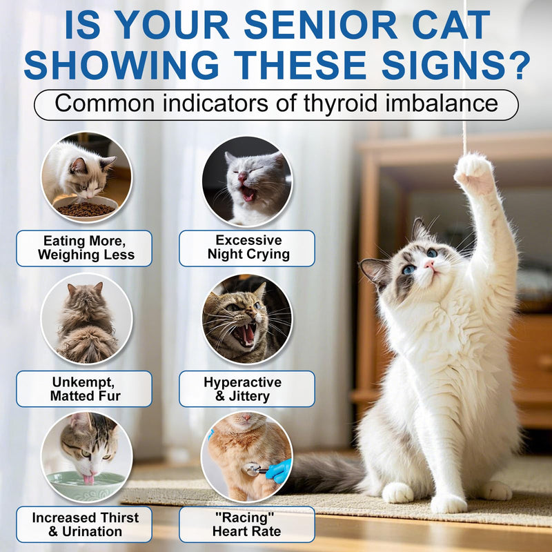 Thyroid Support for Cats, Cat Weight Gainer, Feline Metabolic Health Supplement, with Bugleweed, Lemon Balm & Motherwort - 2 oz Liquid Formula